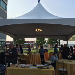 8ft Table, Cocktail Table, Globe Light, High Peak Marquee Tent, Gold Chiavari Chairs